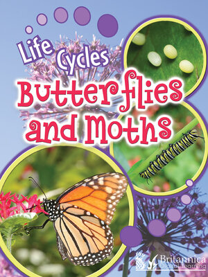 cover image of Butterflies and Moths